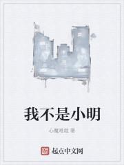 我不是小no