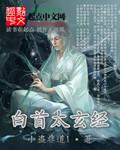白首太玄经?