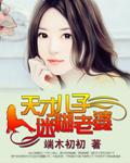 天才儿子迷糊老婆在线阅读
