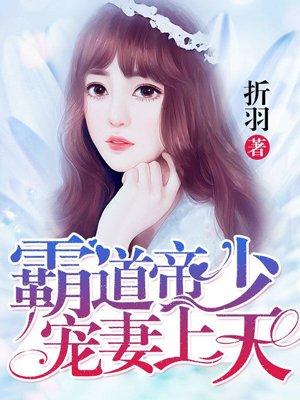 霸道帝少宠妻上天全集