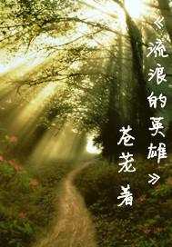 流浪英雄完整版在线观看
