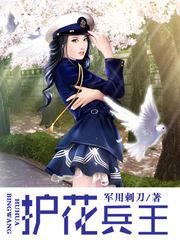 护花兵王苏南