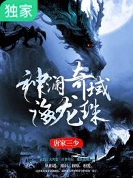 神澜奇域海龙珠目录