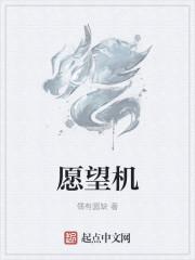 愿望的拼音