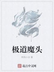 极道天魔说的是什么