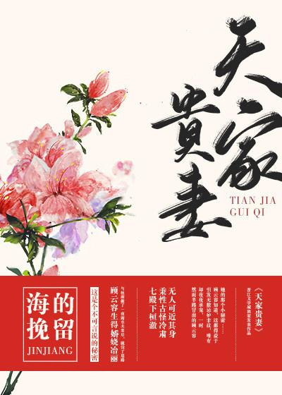 天家贵妻宝书网