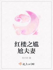 红楼之尴尬夫妻起点
