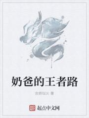 王者荣耀 奶爸