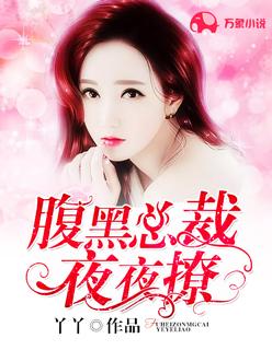 腹黑总裁夜夜撩 丫丫