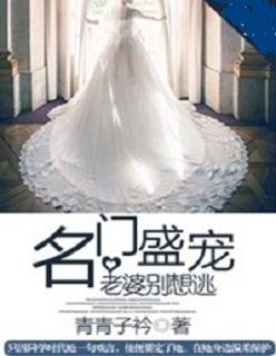 名门宠婚老婆太迷人