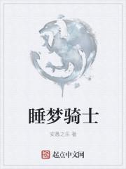 梦境骑士