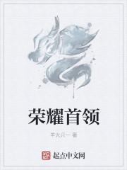 荣耀元首需要多少经验
