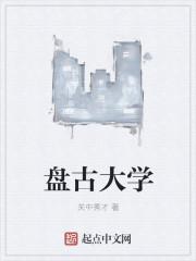 盘古武校