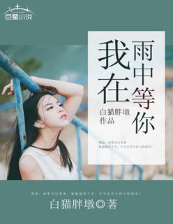 我在雨中等你的歌曲