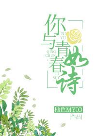 你与青春如诗TXT迅雷