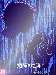 矩阵x怎么写
