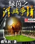绿茵之巅最佳阵型