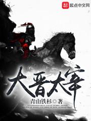 太宰大人是什么官