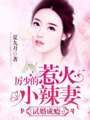 厉少宠妻实录全文免费