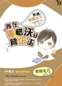 我在魔法学院任教的日子
