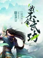 我不会武功好看不