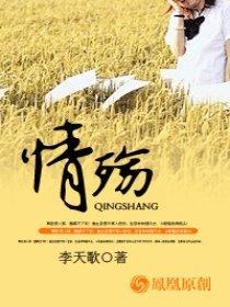 大漠情殇