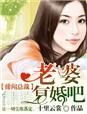 总裁绯闻的前妻
