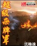 杂牌军中的王牌