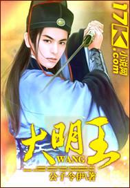 大明王朝在线观看