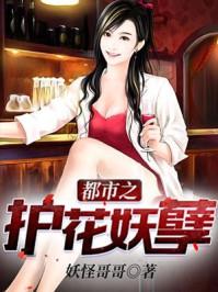 护花妖孽在都市 免费阅读