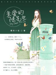 亲爱的陆先生 免费阅读