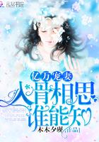 微至入怀注倾情