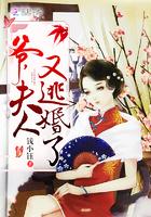 夫人又逃婚了无弹窗