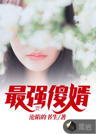 最强傻婿 目录