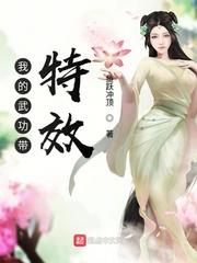 我的武功带特效 无错版