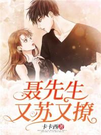 聂先生攻婚日常全文阅读