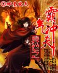 异世之风云霸起全集