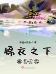 锦衣之下2婚后小生活免费阅读