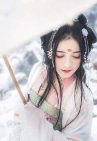 重生之王爷的男正妃