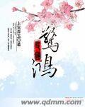 惊鸿一瞥的民国情话