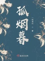 孤烟暮蝉无心简影