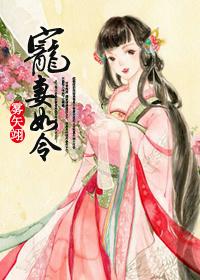 宠妻如令在线全文免费阅读