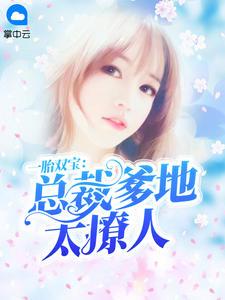 一胎双宝总裁爹地宠上天
