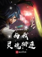 与我灵魂相连的歌曲