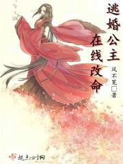 逃婚公主国语版