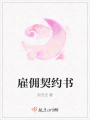 雇佣契约几集