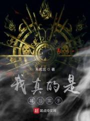 我真的是幕后黑手讲的什么