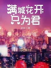 满城花开王俊凯歌词