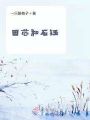 田蕊是谁扮演的