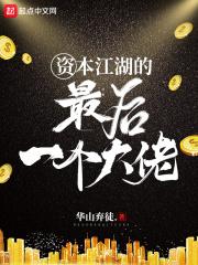 资本江湖的最后一个大佬无错版